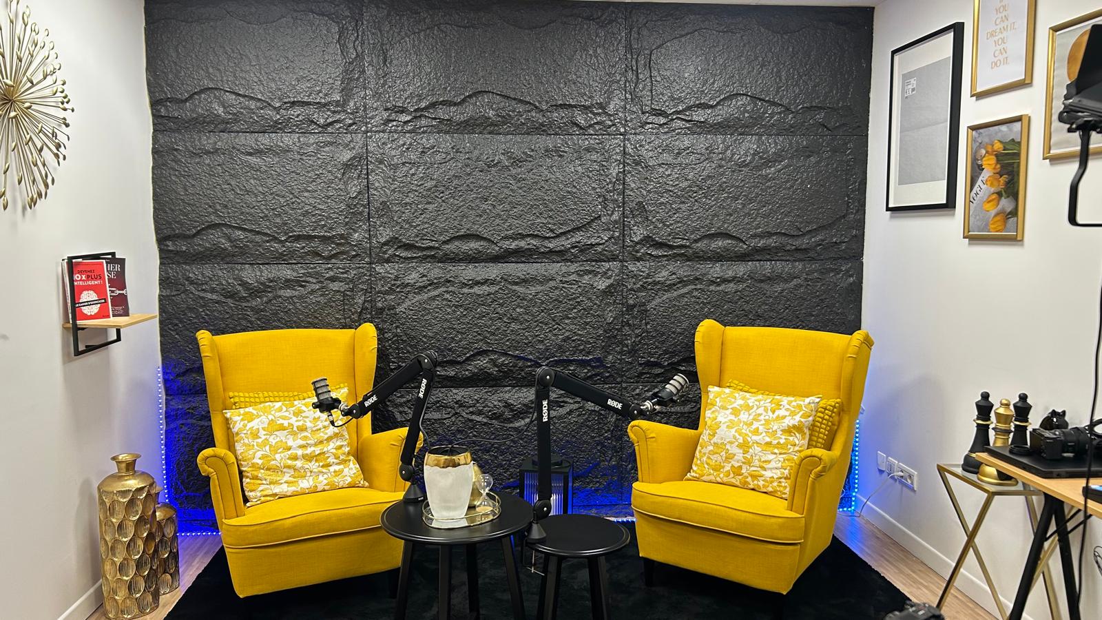 Studio Jaune — Quiet Force Studio